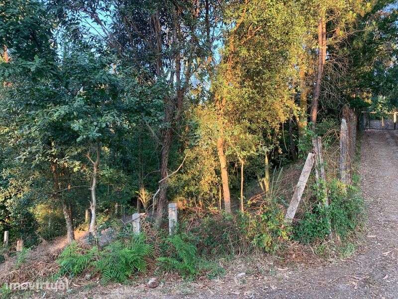 Vende-se terreno perto do Gerês - Grande imagem: 5/7