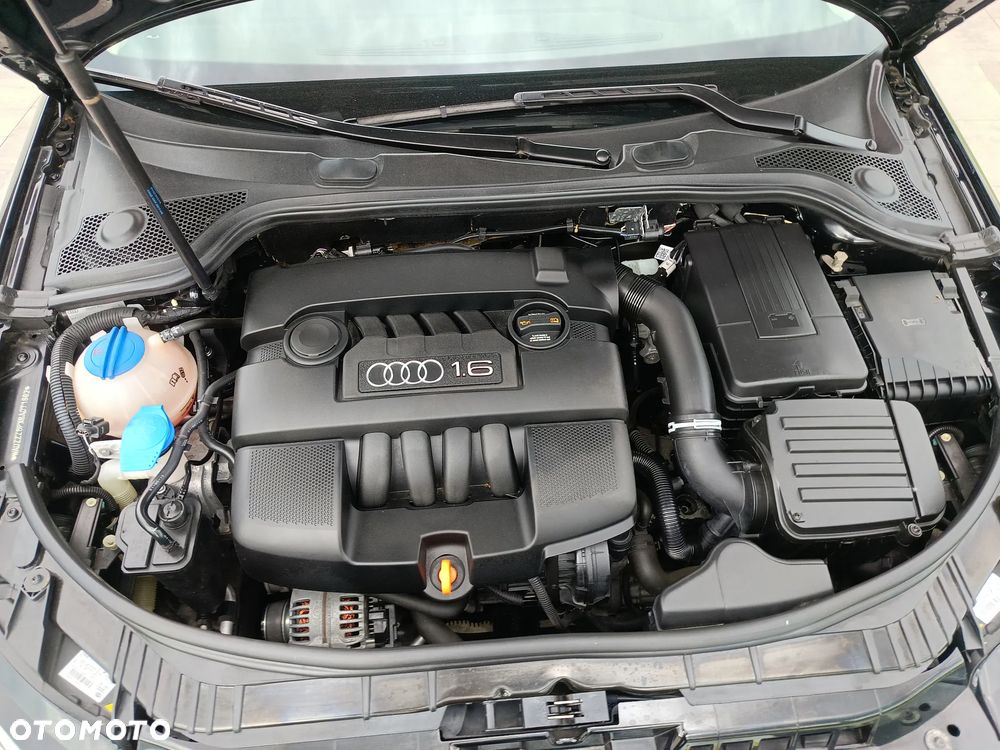 Audi A3 3-drzwiowe 1.6 Limited Edition - 23