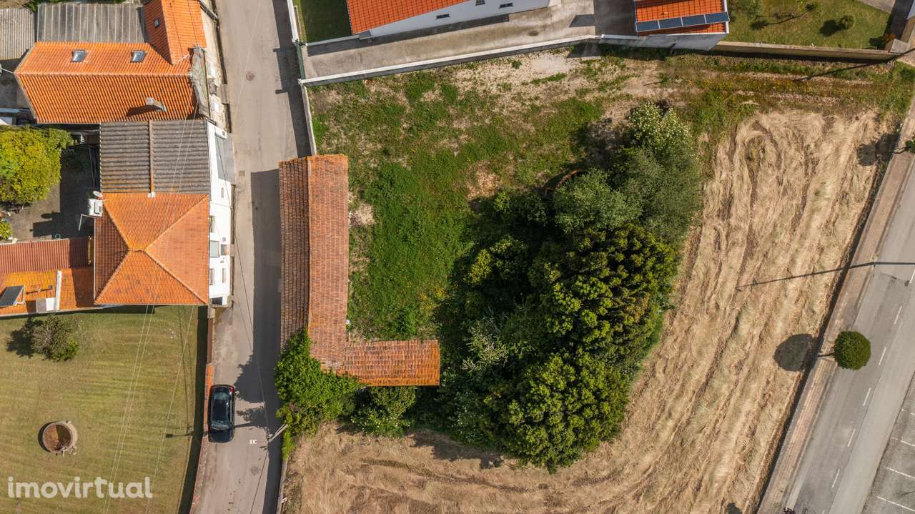 Terreno na Murtosa - Grande imagem: 3/8