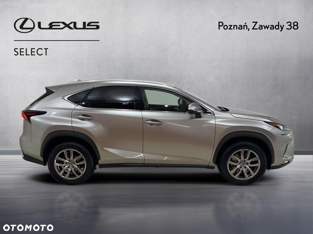 Lexus NX 300h Business Edition AWD - 6