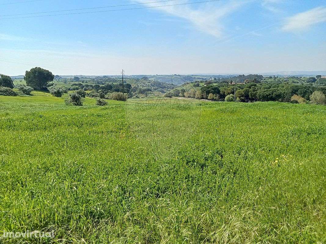 Terreno  para venda - Grande imagem: 2/19