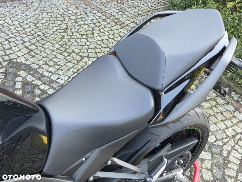Kawasaki Ninja - 36