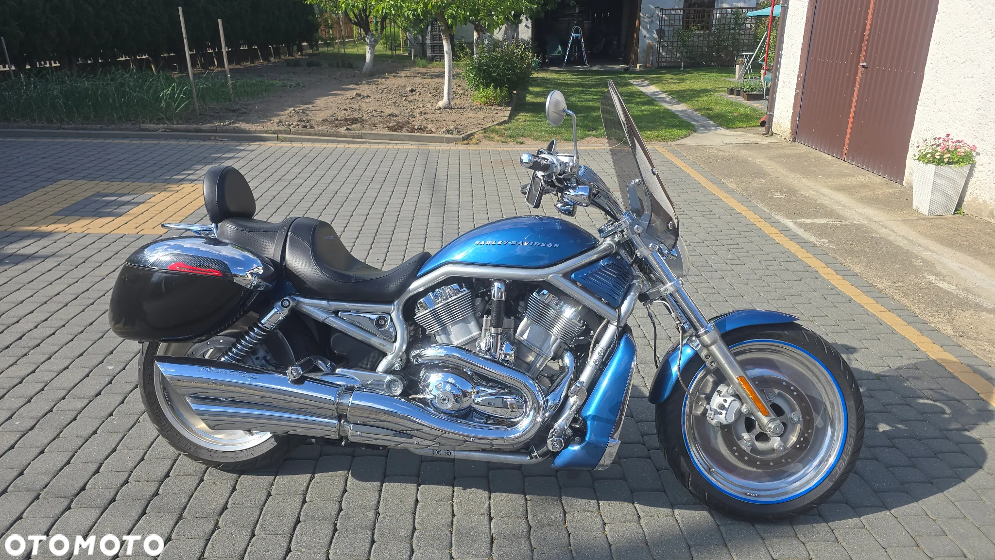 Harley-Davidson Softail V-Rod - 2