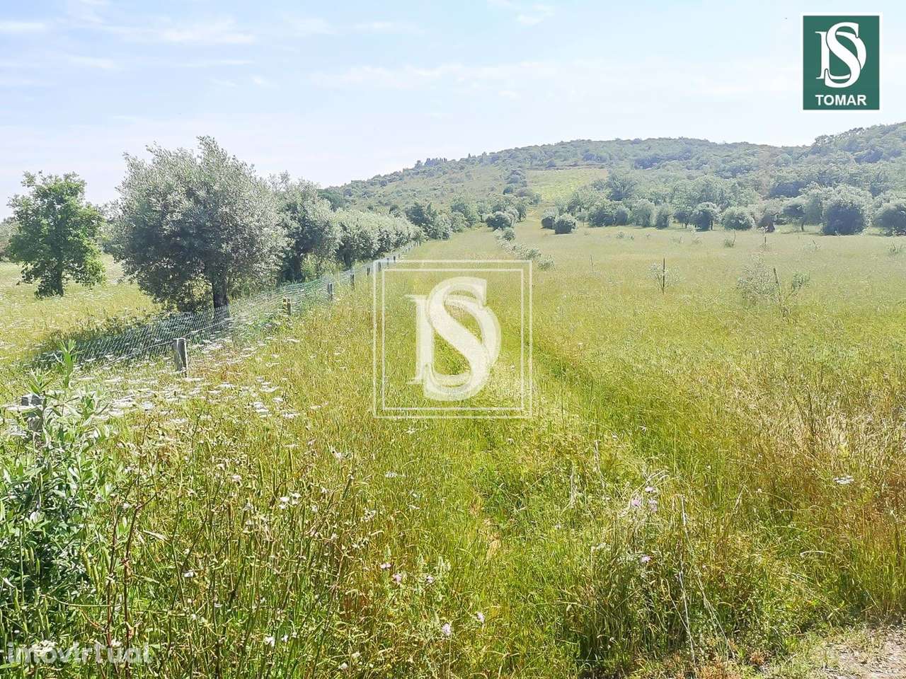 Terreno  em Chãos - Grande imagem: 2/9