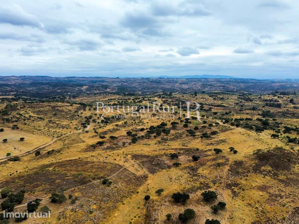 Propriedade Rural composta por 3 parcelas (2 herdades + casa) - Grande imagem: 2/24