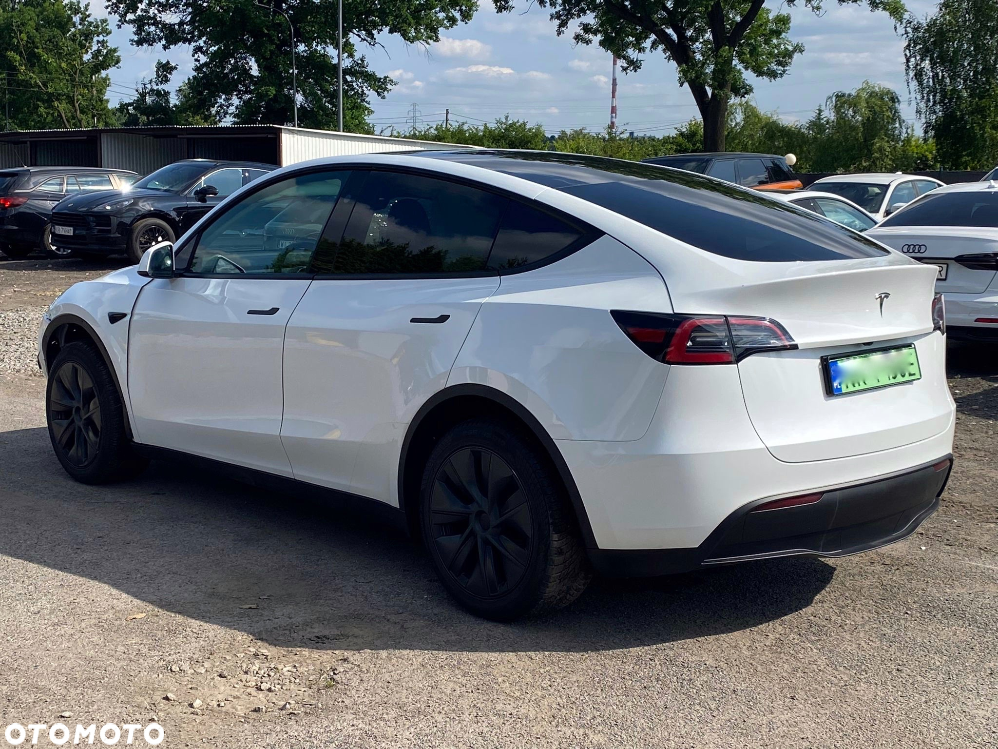 Tesla Y RWD - 13