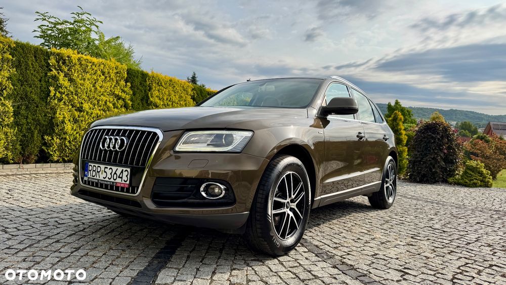 Audi Q5 - 27