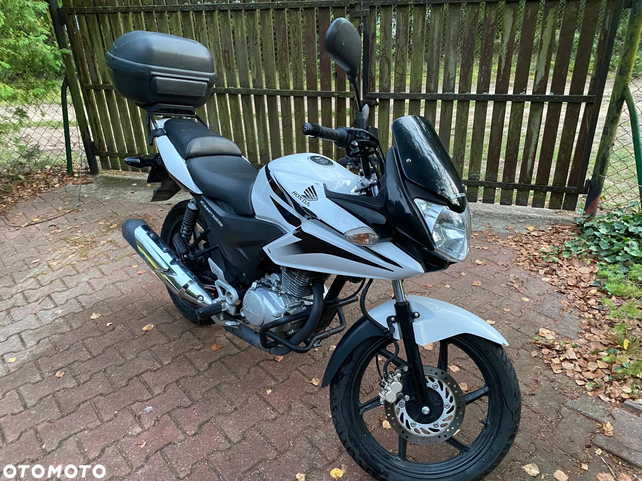 Honda CBF - 9