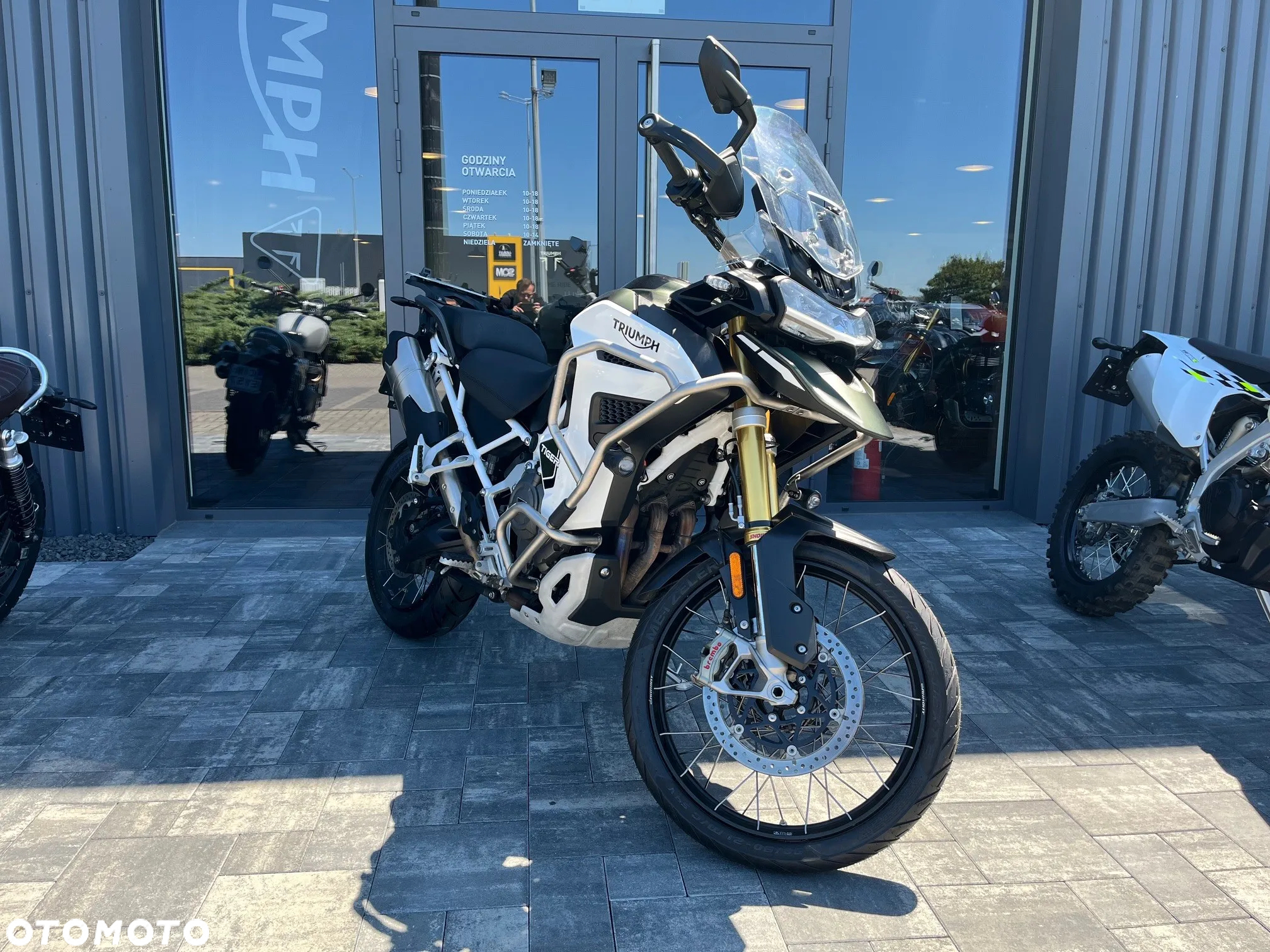 Triumph Tiger
