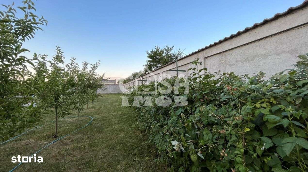 VANZARE TEREN INTRAVILAN situat in oras Racari, la 35 km de Bucuresti - Imagine principală: 4/5