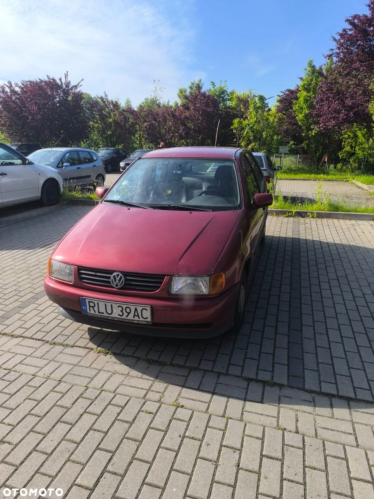 Volkswagen Polo - 2