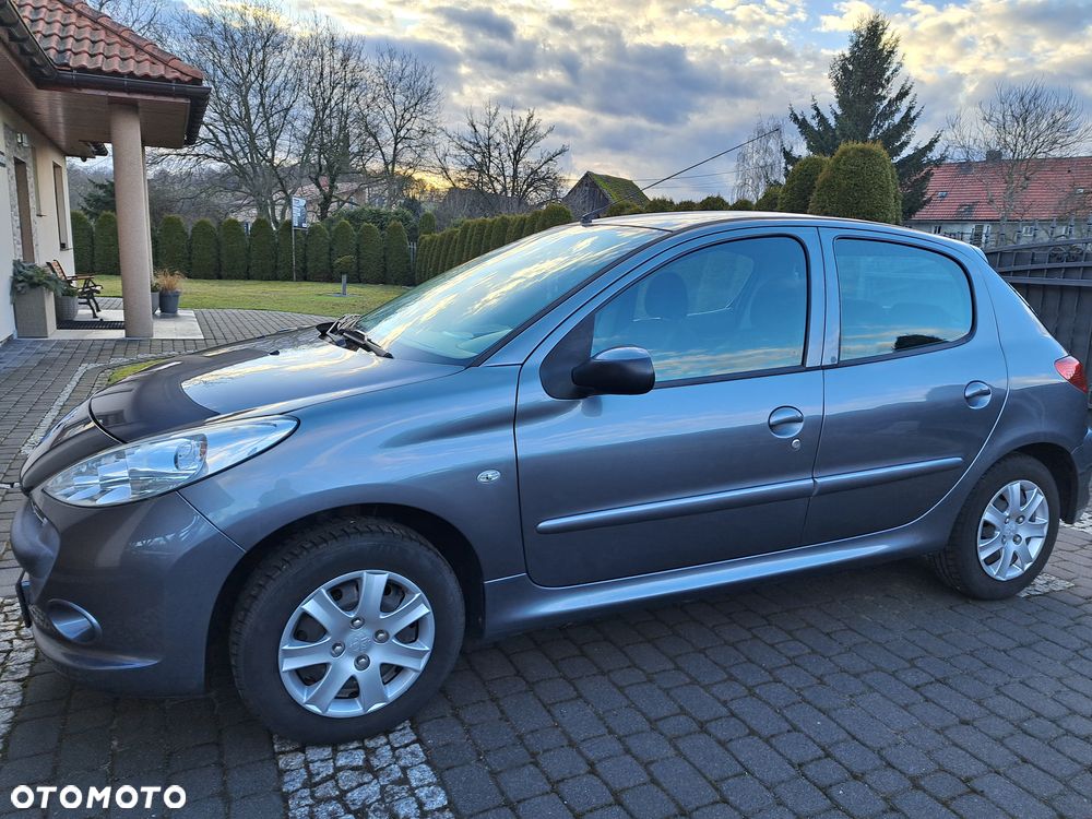 Peugeot 206 plus 60 - 14