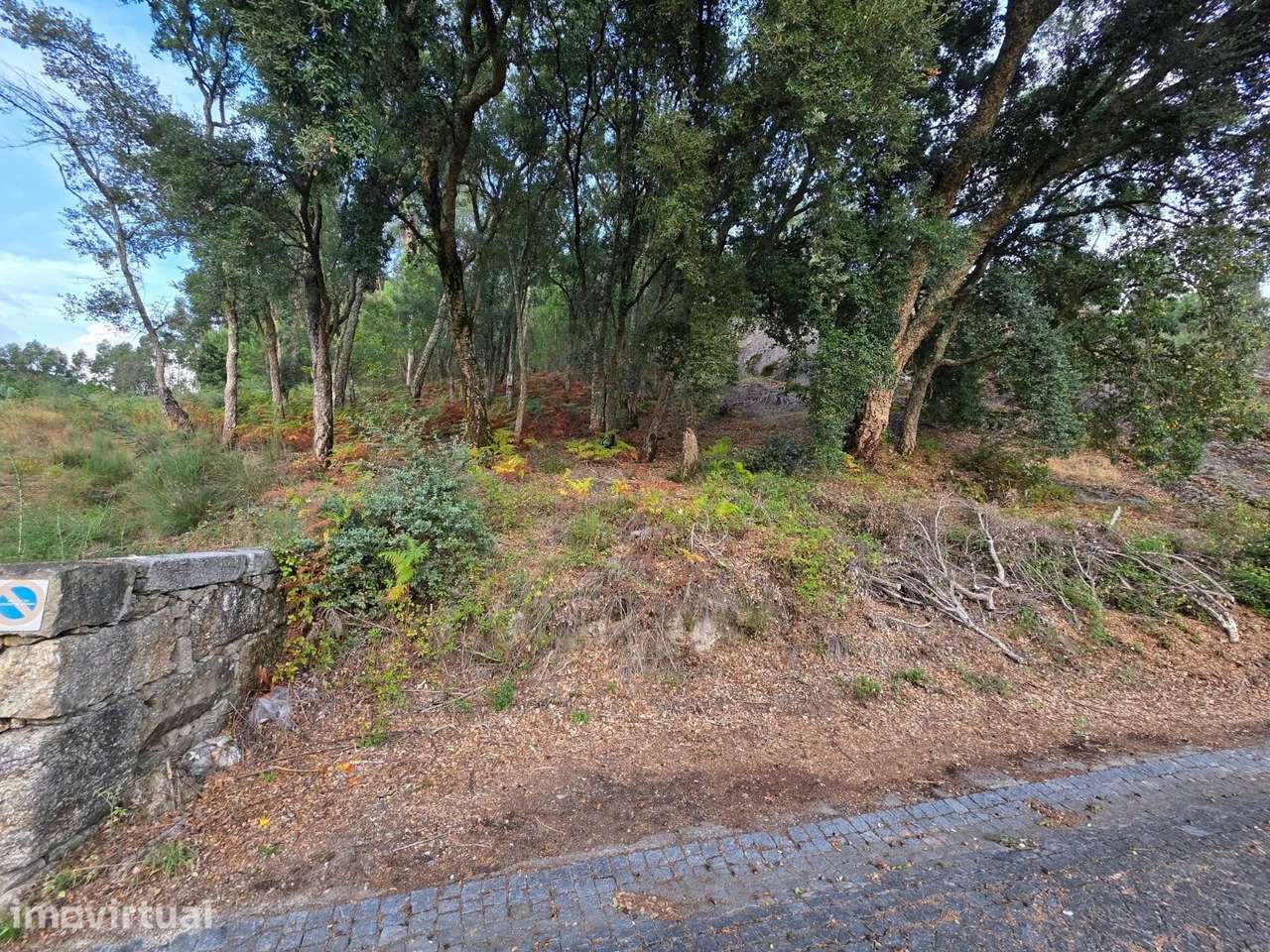 Terreno para Construção com 2.182m2 em São Mamede de Negrelos, Santo T - Grande imagem: 2/8