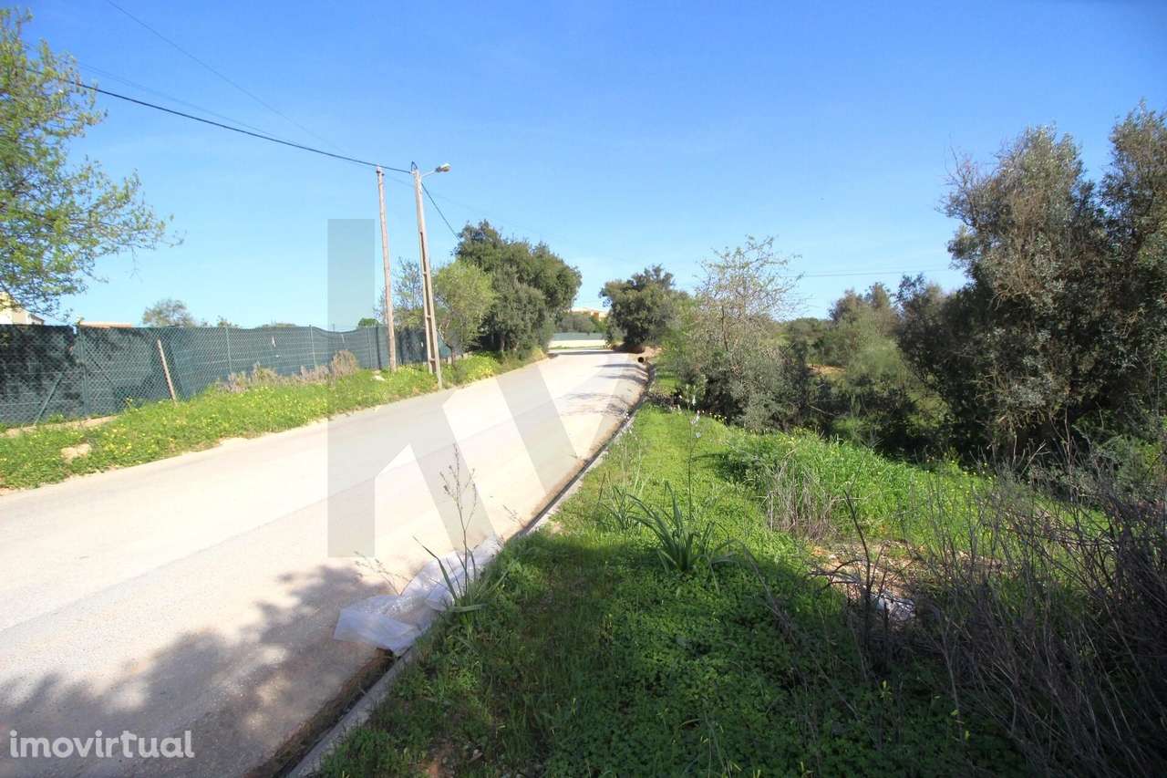 TERRENO RUSTICO, ESTOMBAR, LAGOA - Grande imagem: 4/21