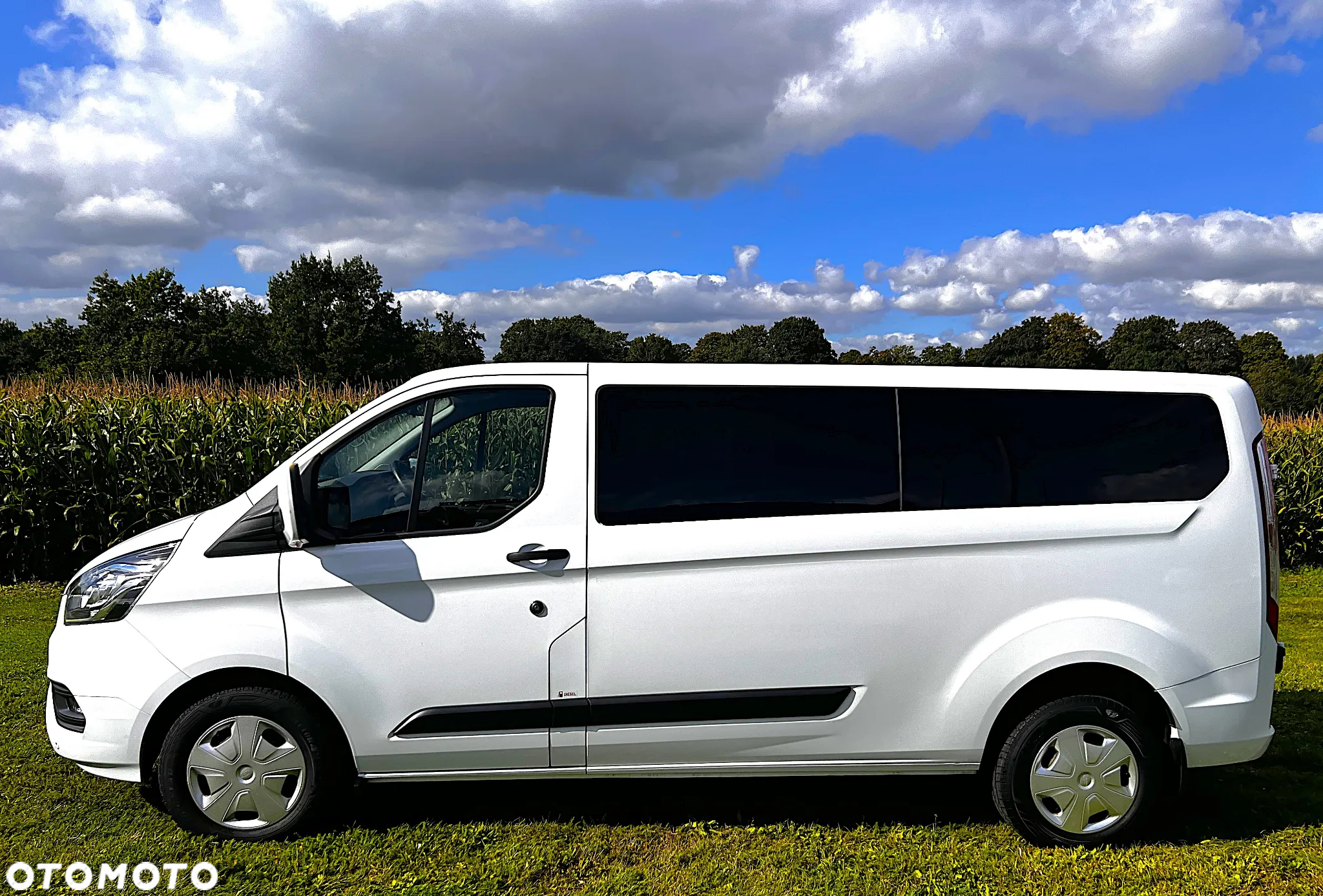 Ford Transit Custom - 4