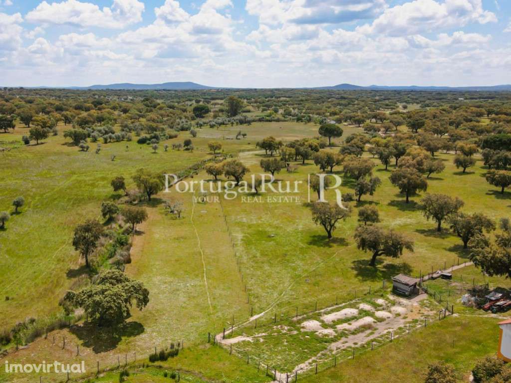 Excelente quinta de 3,95ha com 2 casas - Grande imagem: 5/60