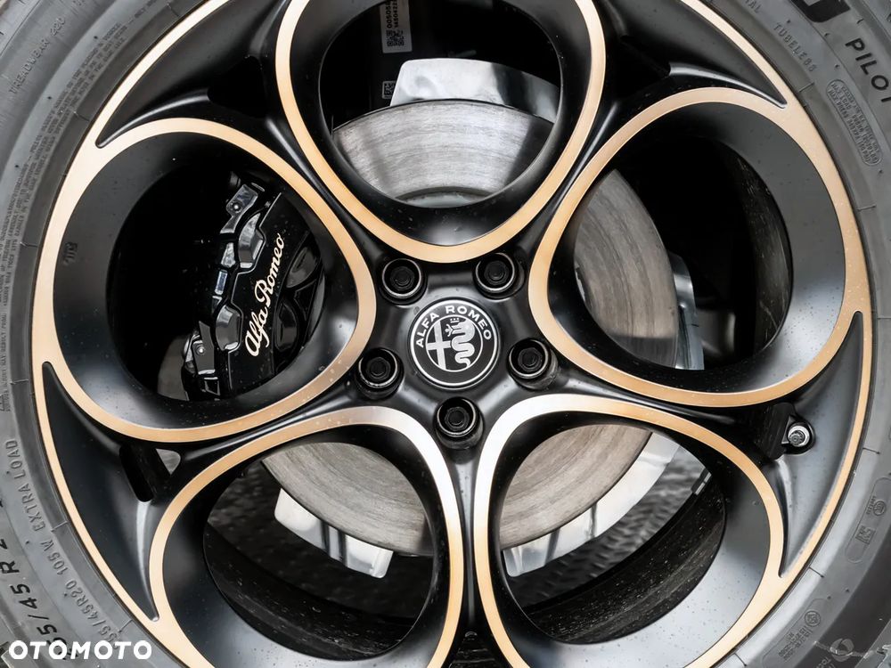 Alfa Romeo Stelvio 2.0 Turbo TI Q4 - 16