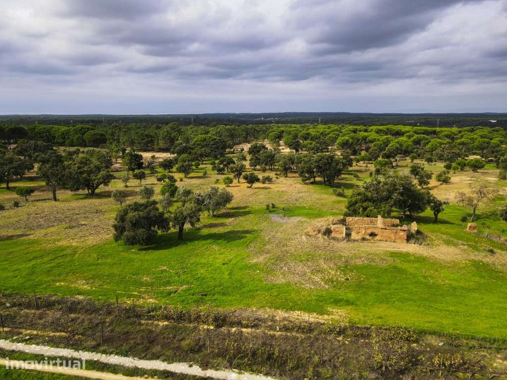 Terreno com projecto de arquitectura aprovado em Melides - Grande imagem: 4/10