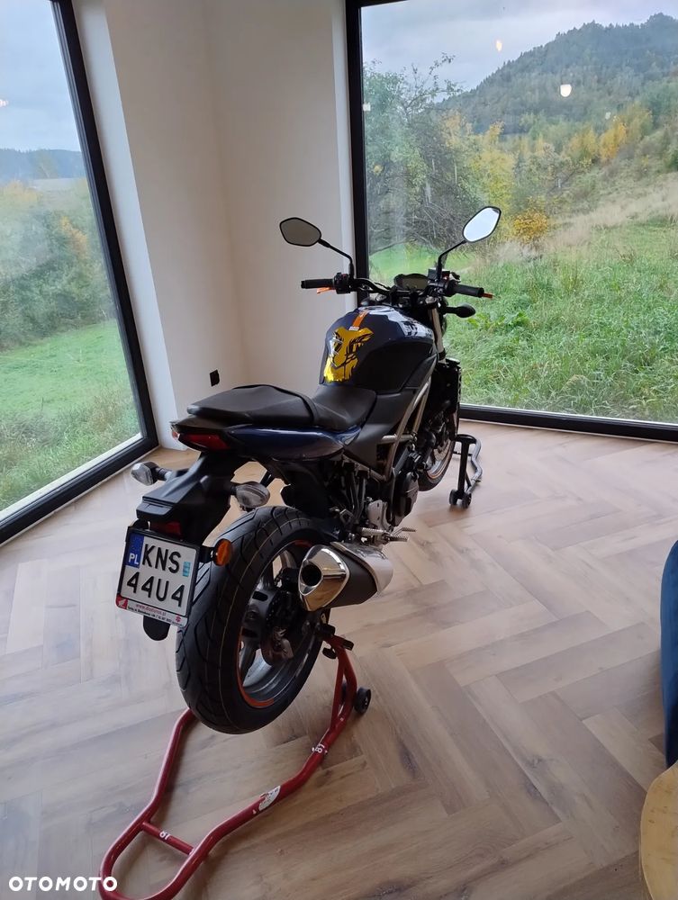 Suzuki SV - 5