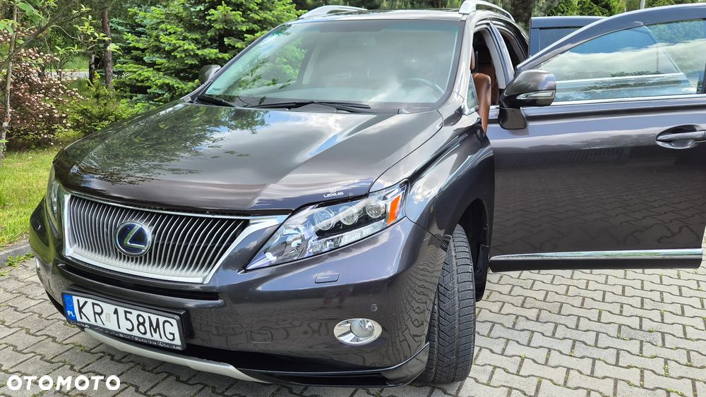 Lexus RX - 10