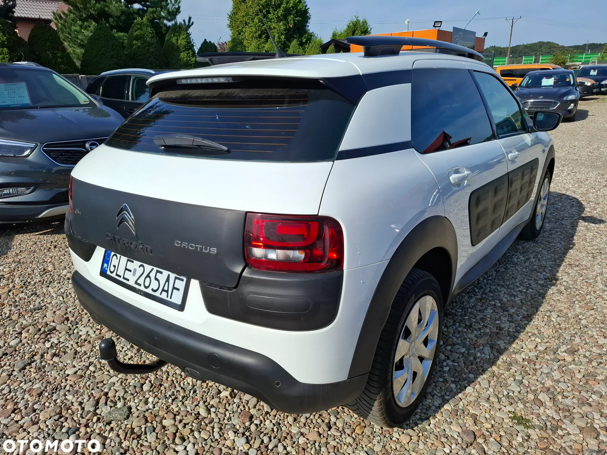 Citroën C4 Cactus 1.2 PureTech Feel Elite EU6 - 6