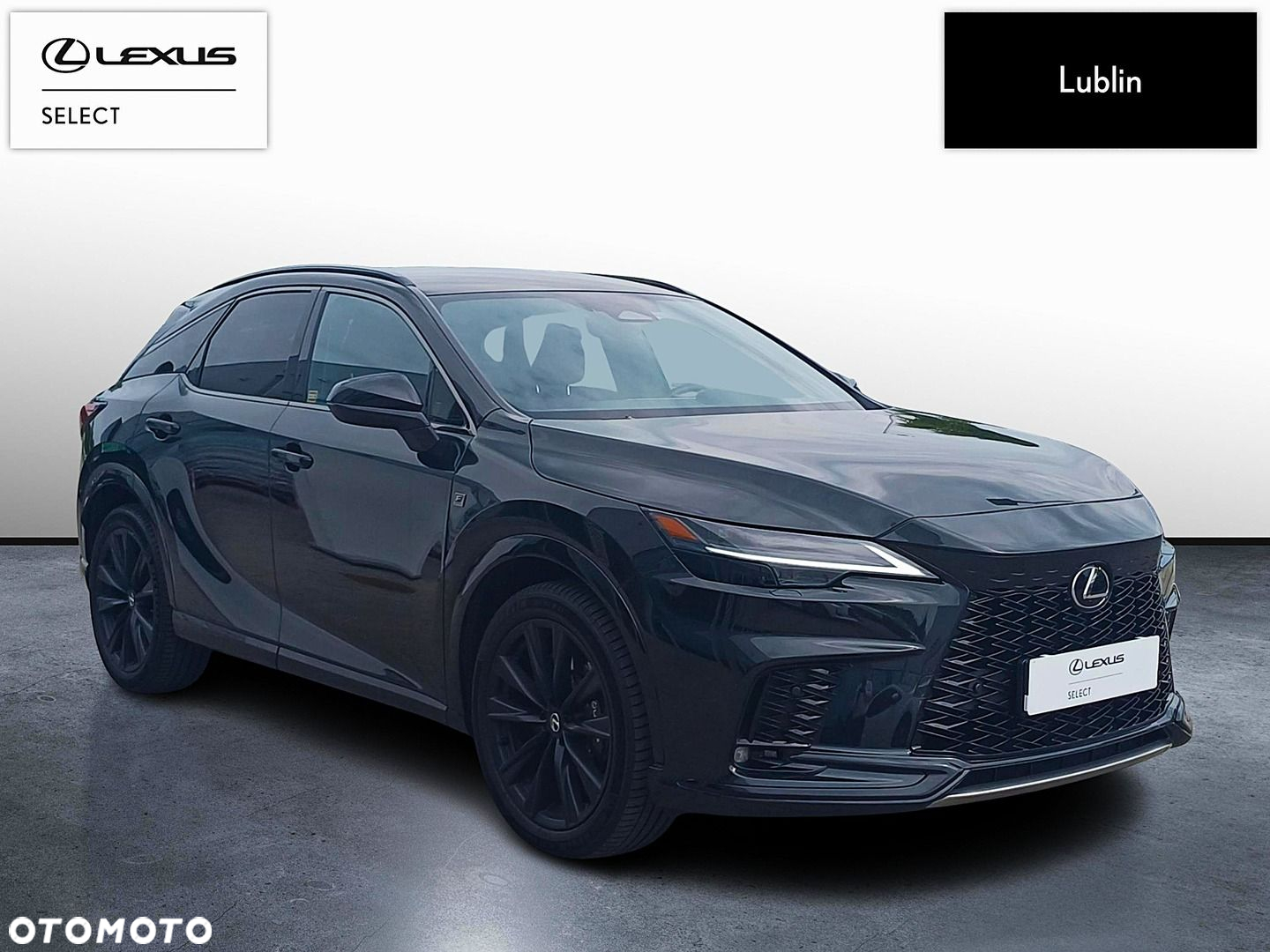 Lexus RX - 6