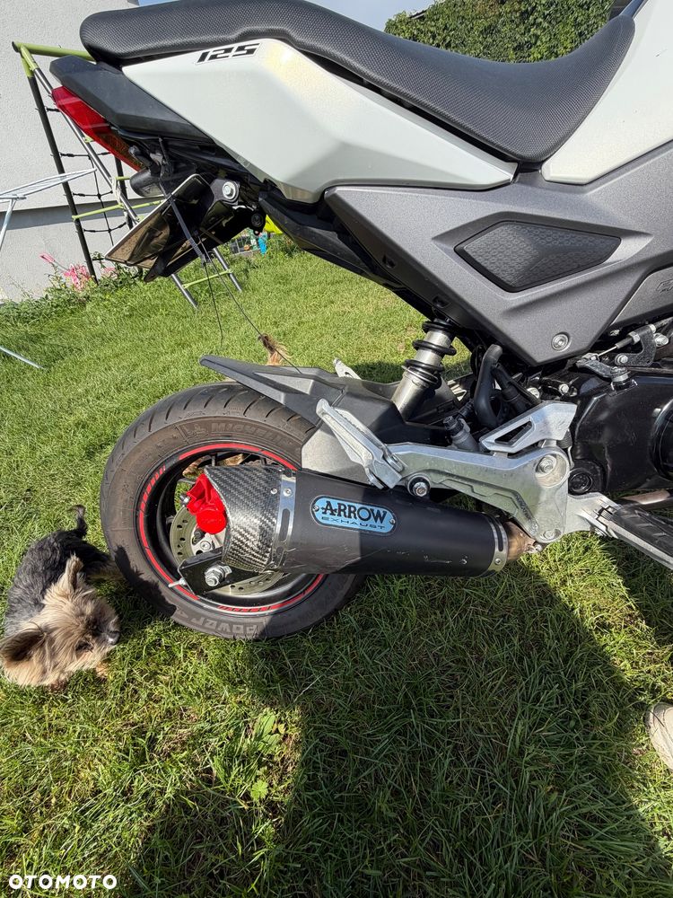 Honda MSX 125 - 11