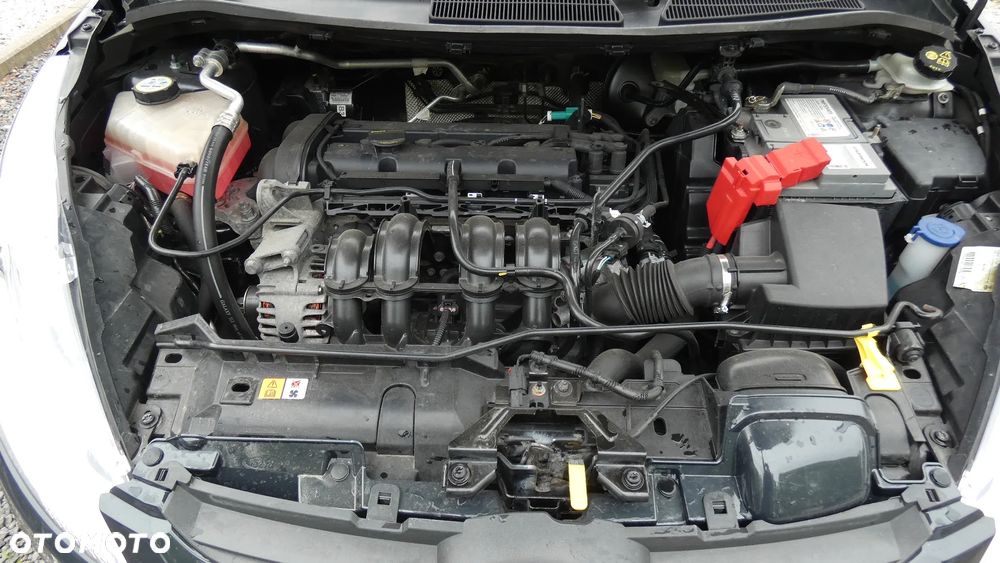 Ford Fiesta 1.25 Trend - 24