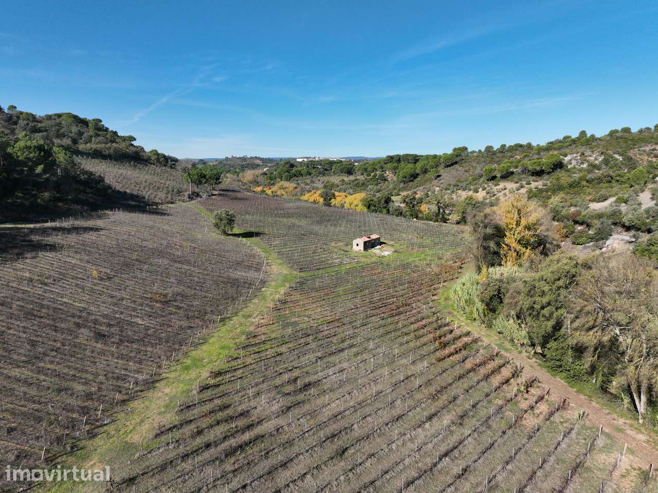 Quinta com 10,6 hectares em Pernes, Santarém – Vinha, Olival - Grande imagem: 2/8