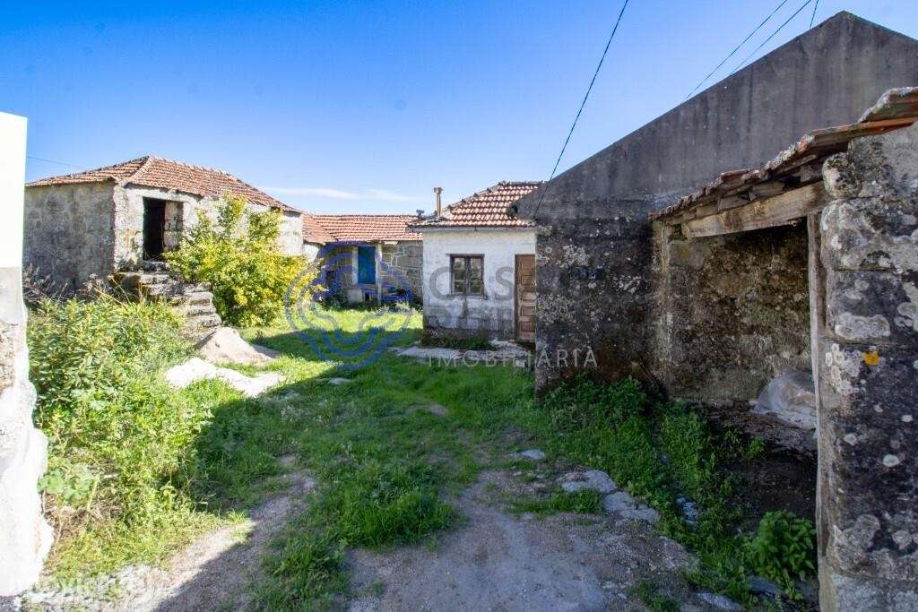 Quinta no Douro, Baião - Grande imagem: 3/45