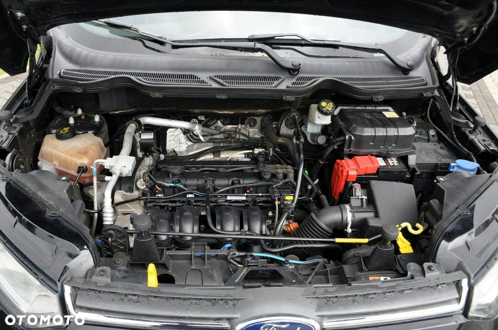 Ford EcoSport - 39