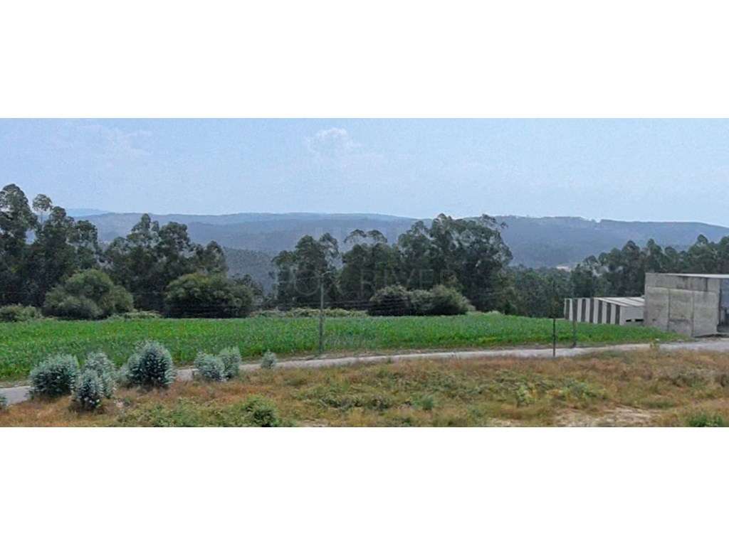 Terreno com 10 765m² à venda em Covelas, Trofa - Grande imagem: 4/4