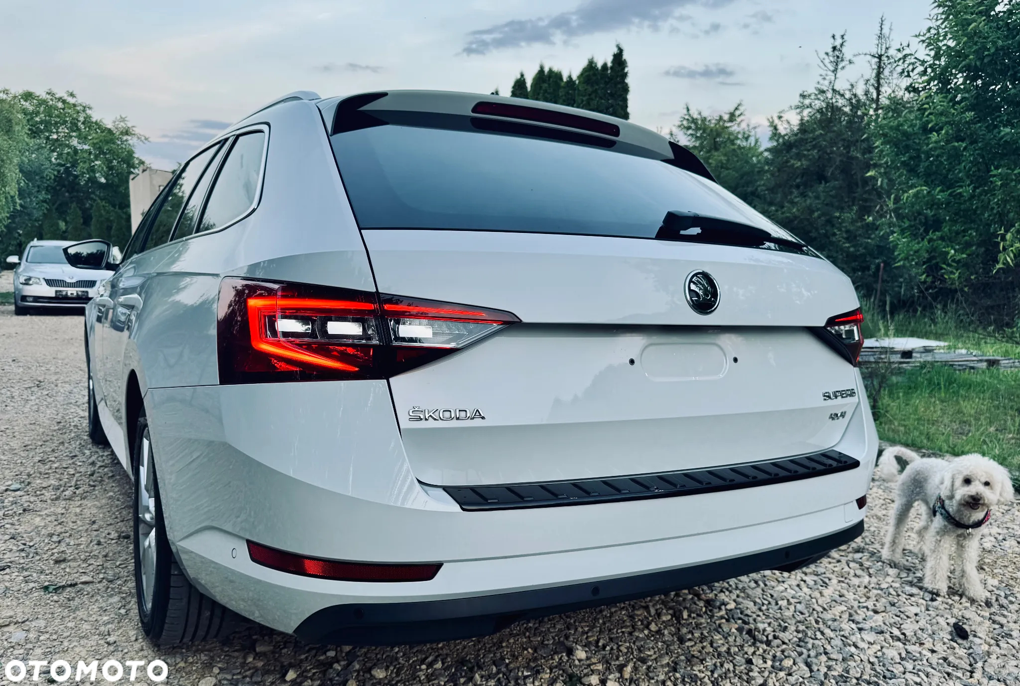 Skoda Superb Combi 2.0 TDI 4x4 DSG Premium Edition - 6