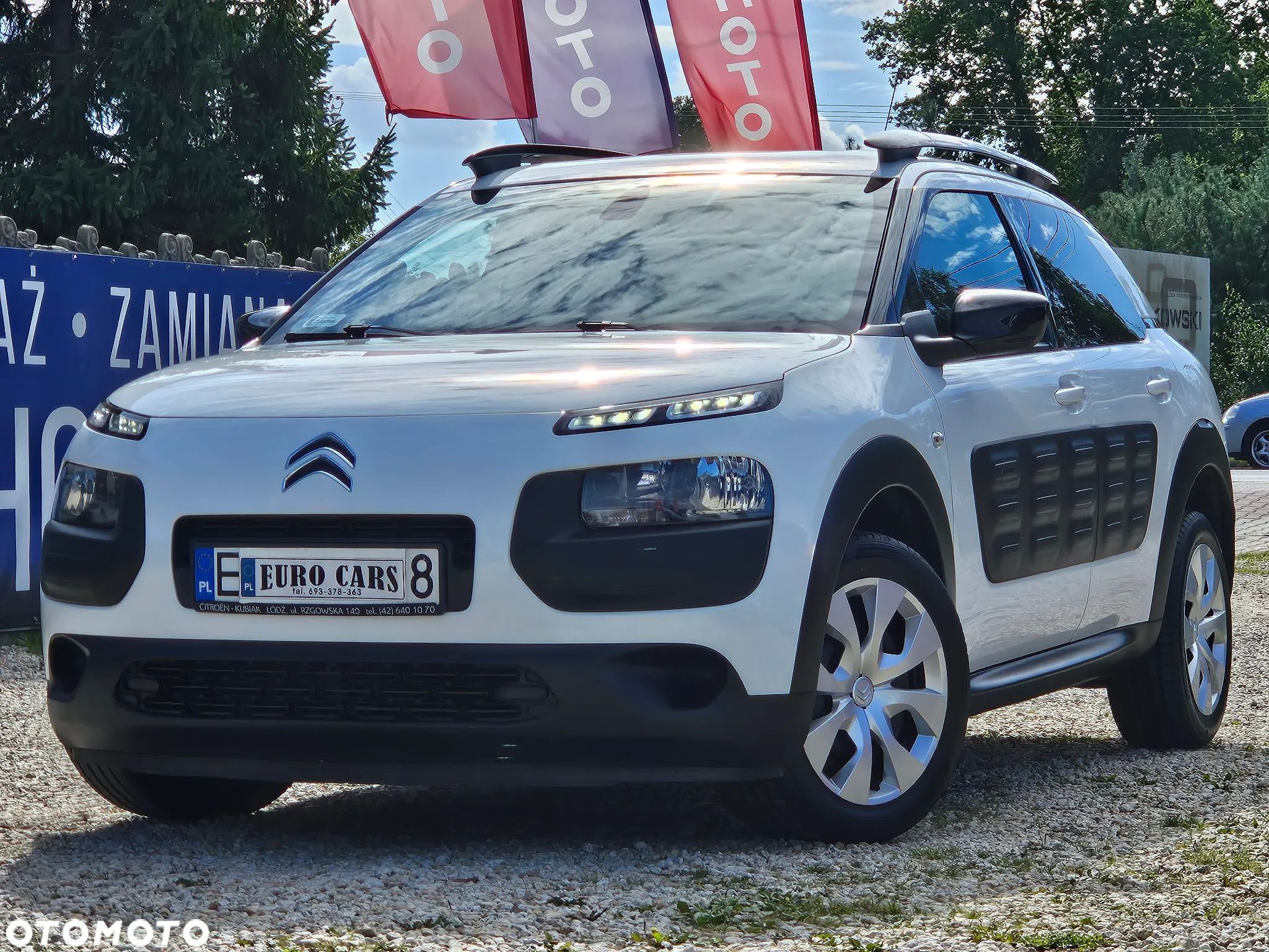 Citroën C4 Cactus 1.2 PureTech Shine EU6 - 1