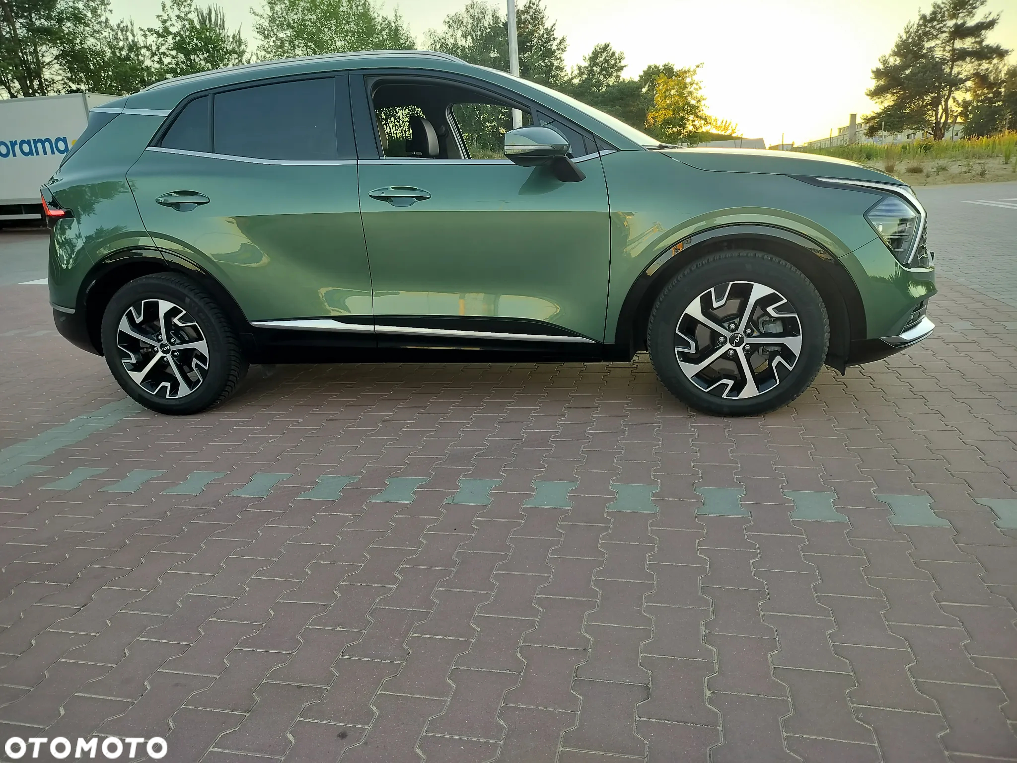 Kia Sportage 1.6 T-GDI HEV Business Line 2WD - 2