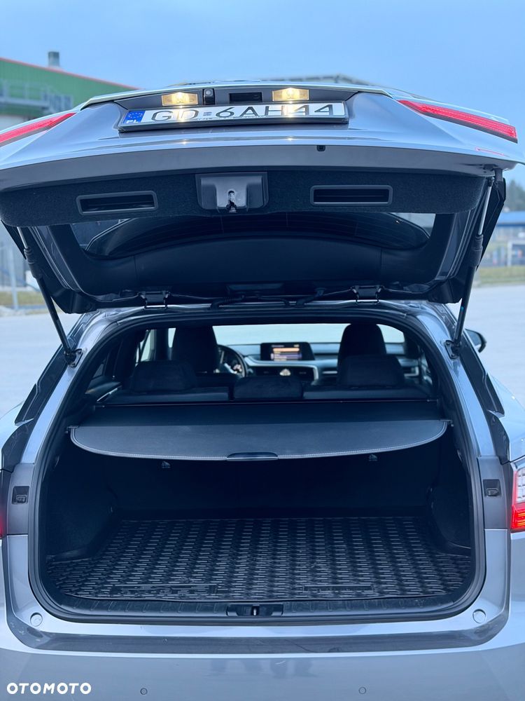 Lexus RX 200t / 300 Elite - 7