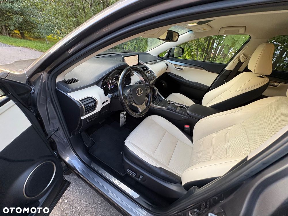 Lexus NX - 15
