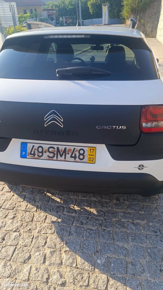 Citroën C4 Cactus 1.6 BlueHDi Rip Curl - 16