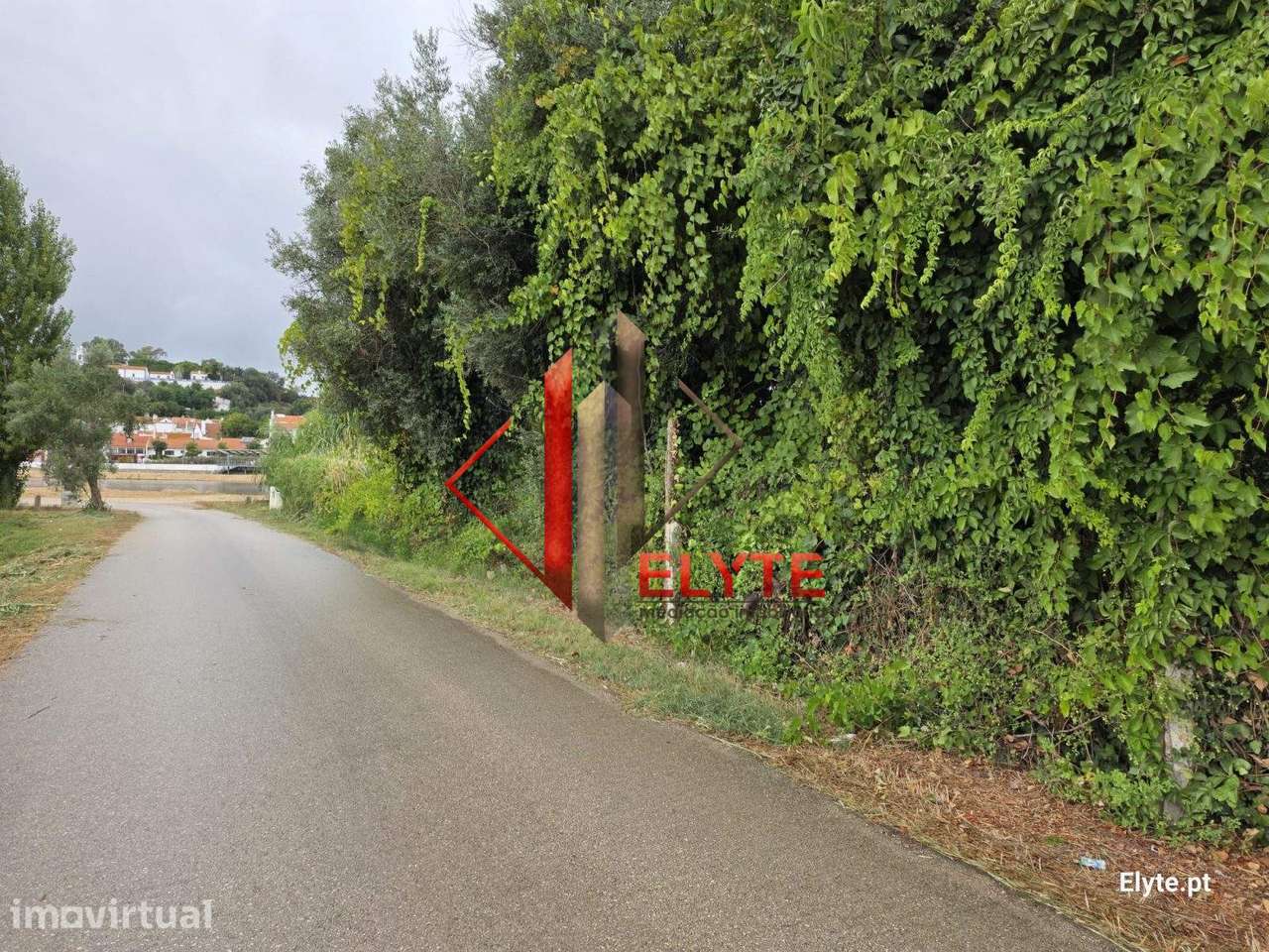 Terreno em Coruche junto ao Rio Sorraia - Grande imagem: 3/36
