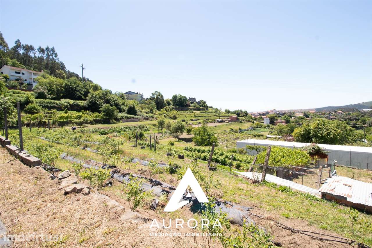 Quinta de Produção de Mirtilos com Infraestruturas Habitacionais e Agr - Grande imagem: 5/28