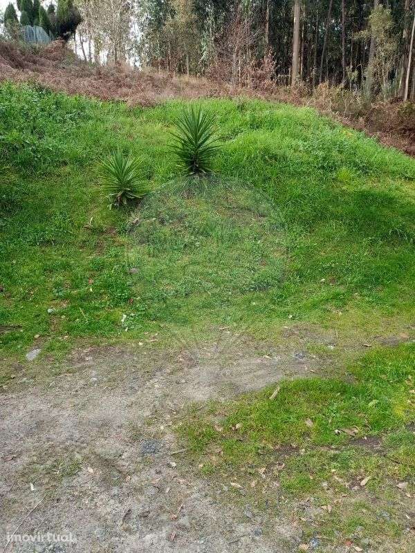 Terreno  para venda - Grande imagem: 5/46