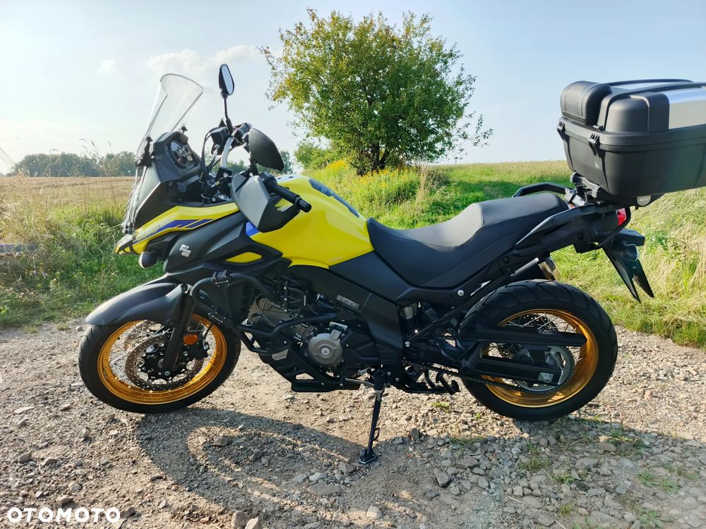 Suzuki DL - 23