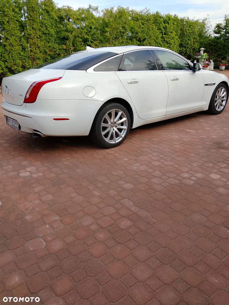 Jaguar XJ 3.0 V6 Kompressor Portfolio - 3