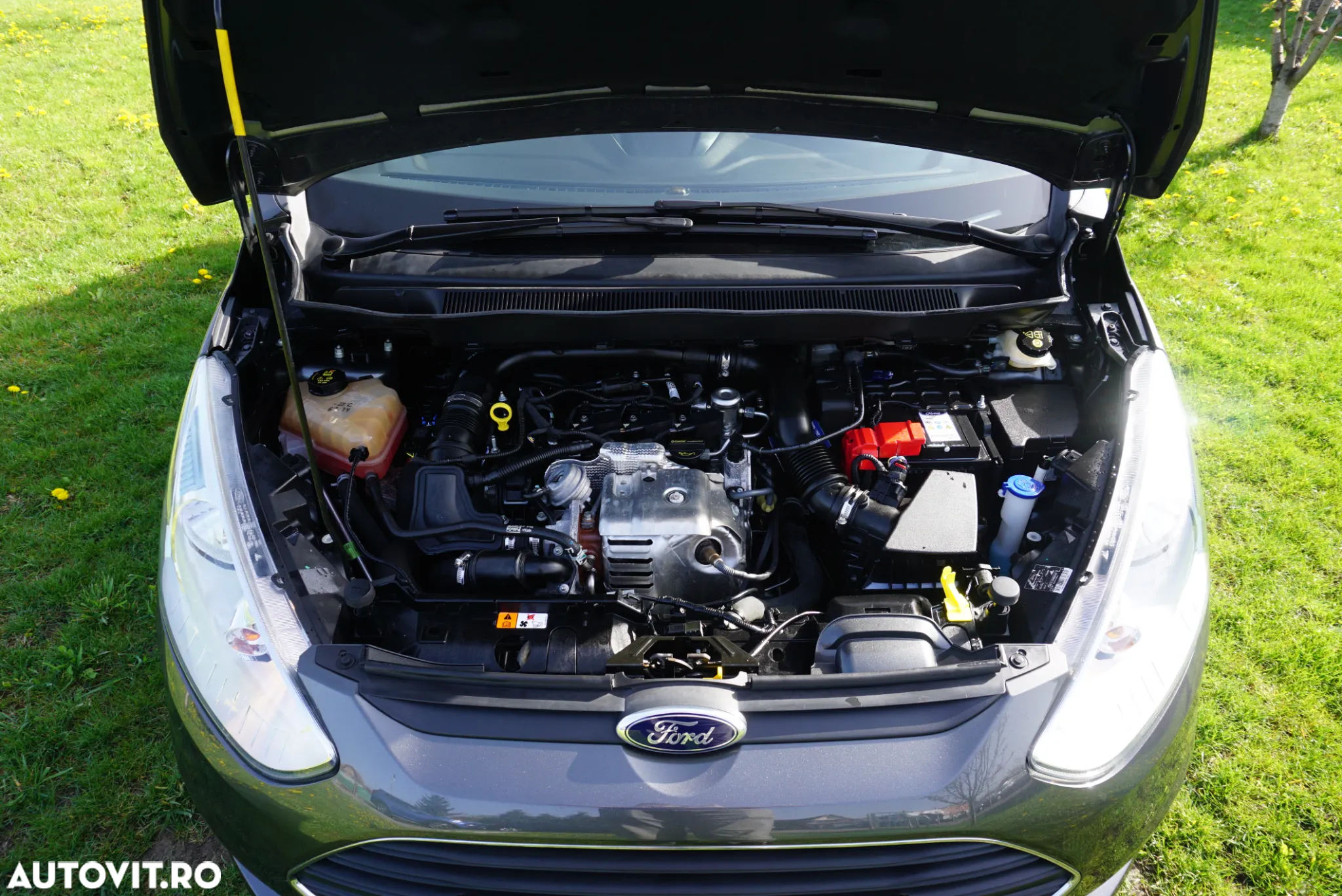 Ford B-Max 1.0 EcoBoost Trend - 24