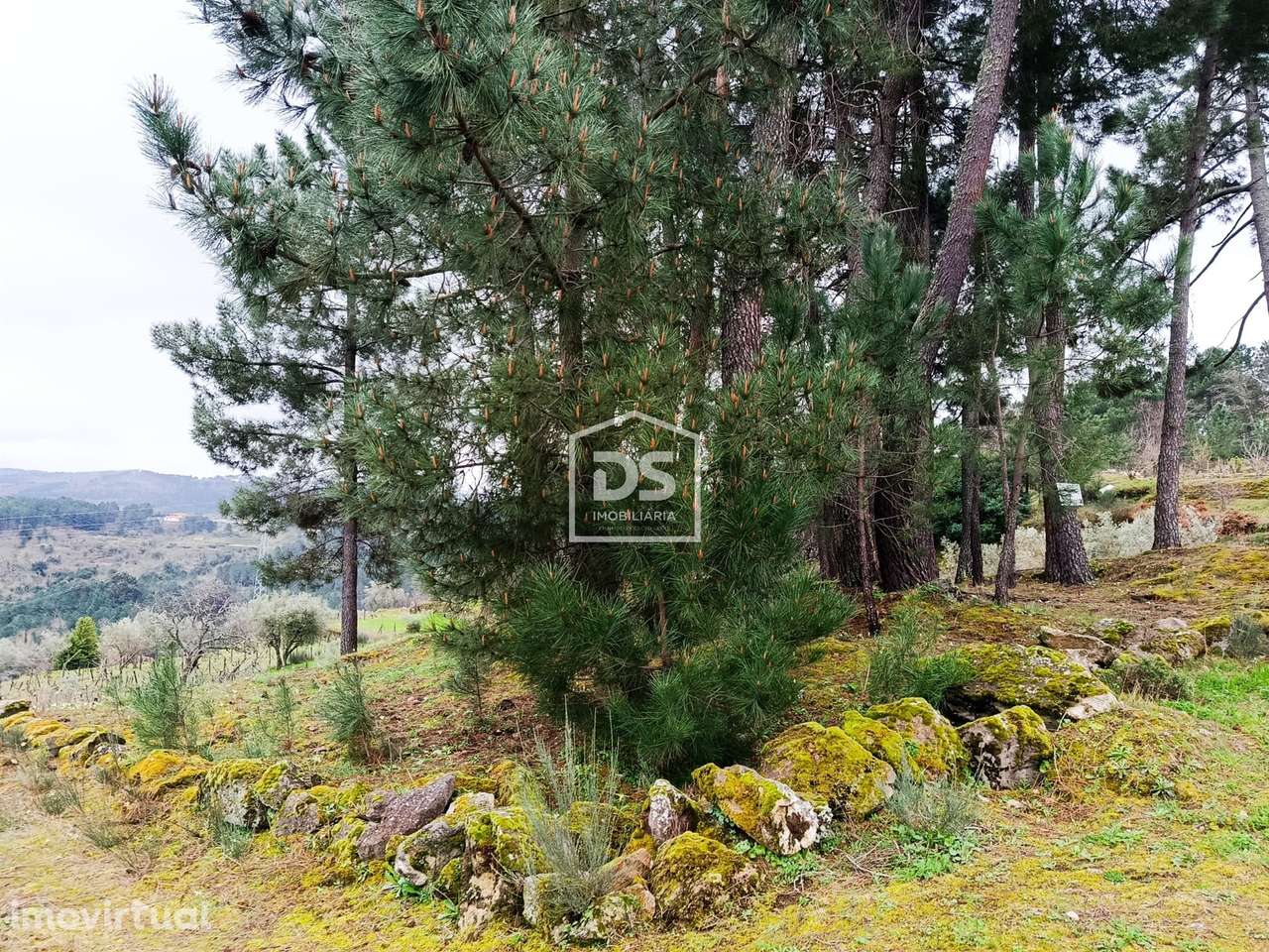 Terreno  Venda em Ferreirim,Lamego - Grande imagem: 2/60