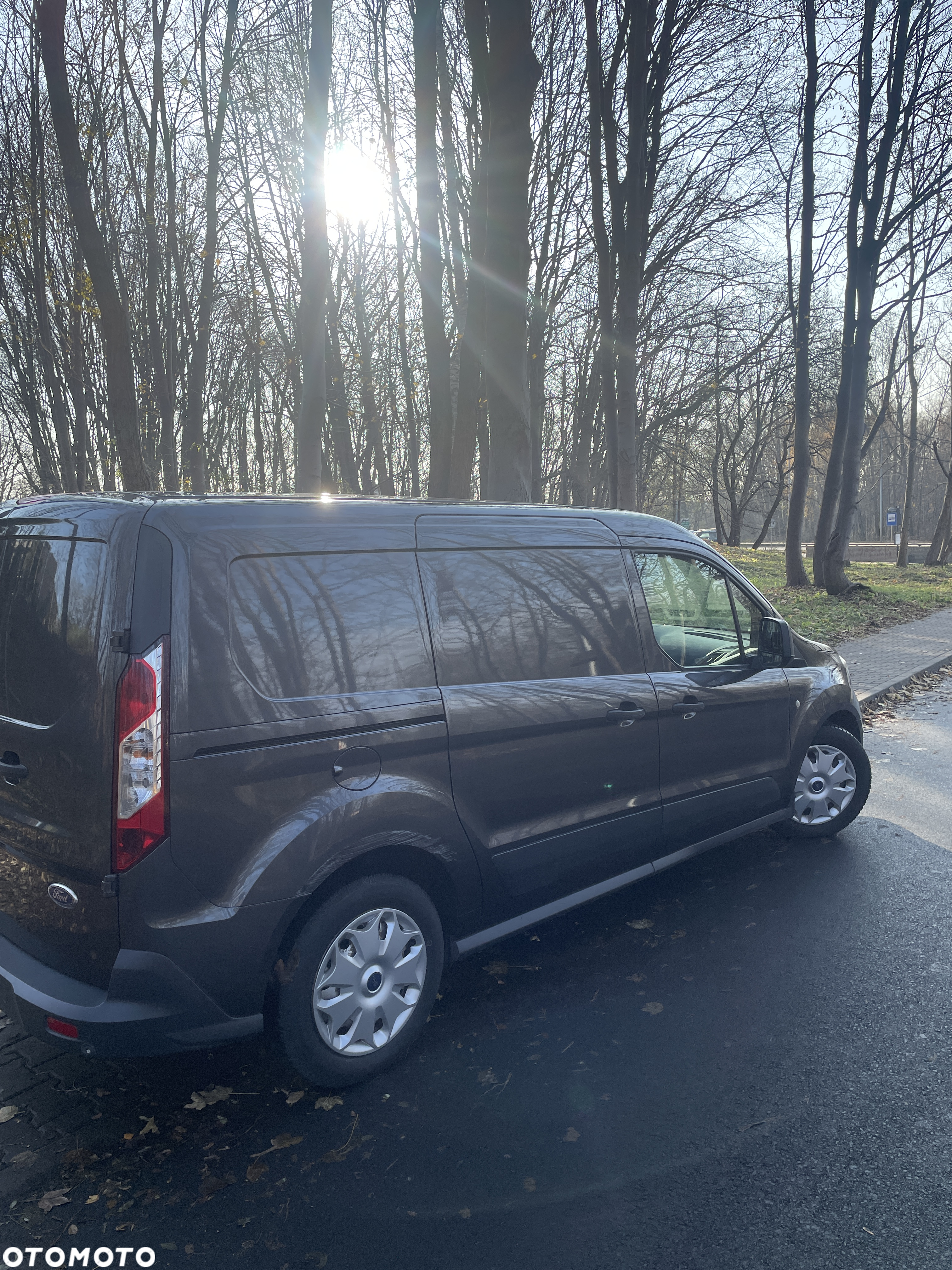 Ford Transit Connect - 10