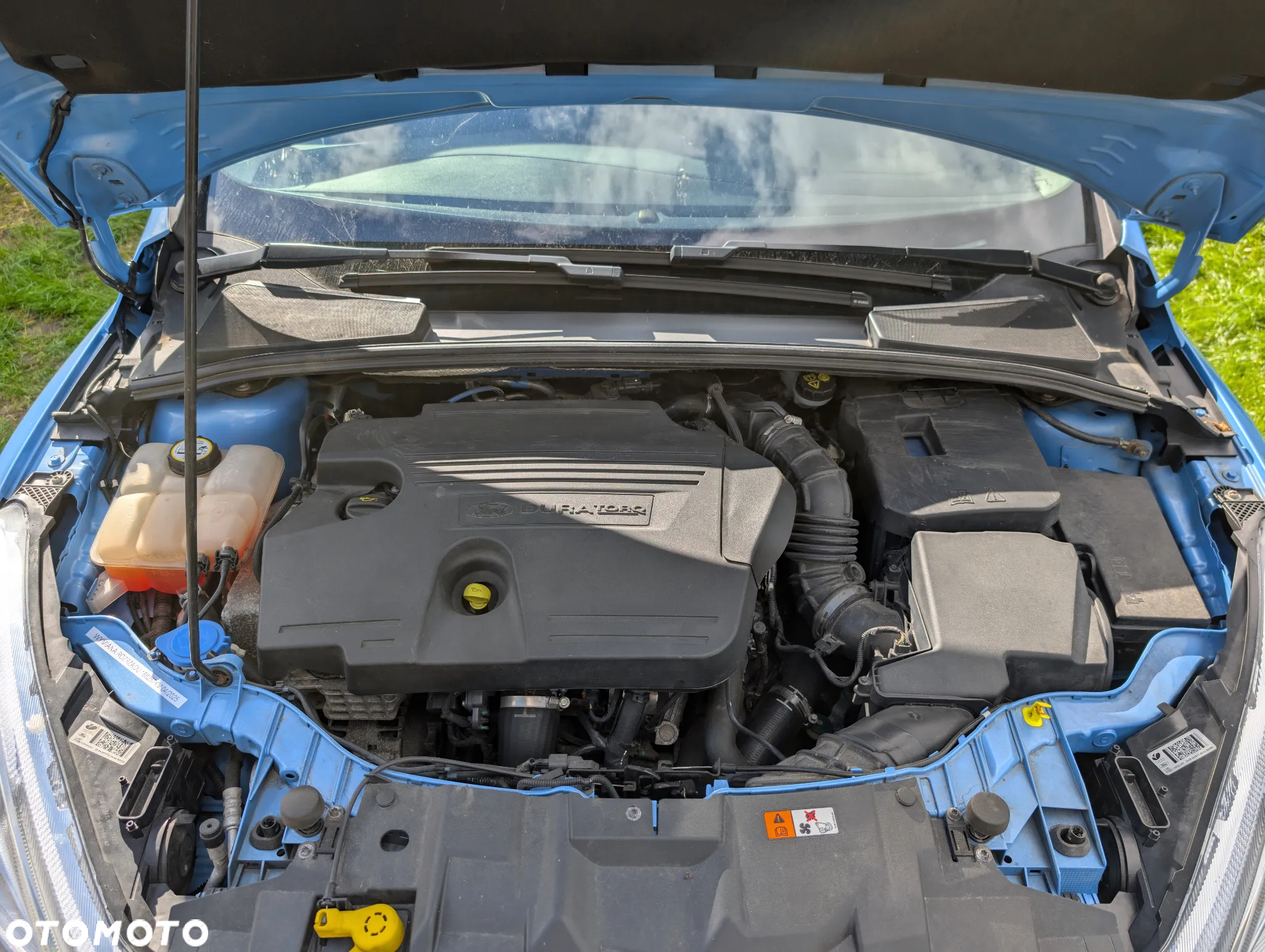 Ford Focus 2.0 TDCi Titanium ASS - 12