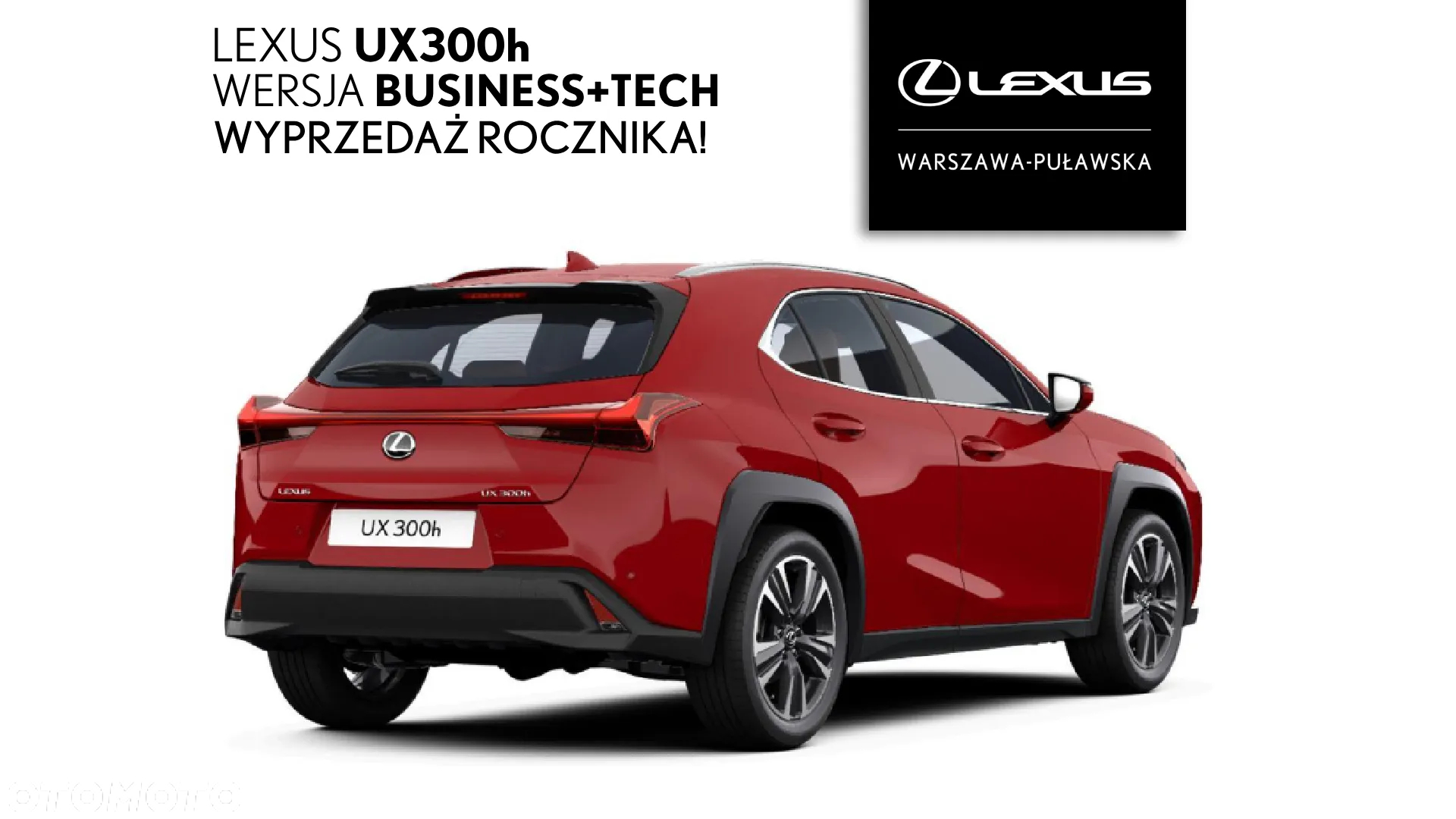 Lexus UX 300h Business - 2