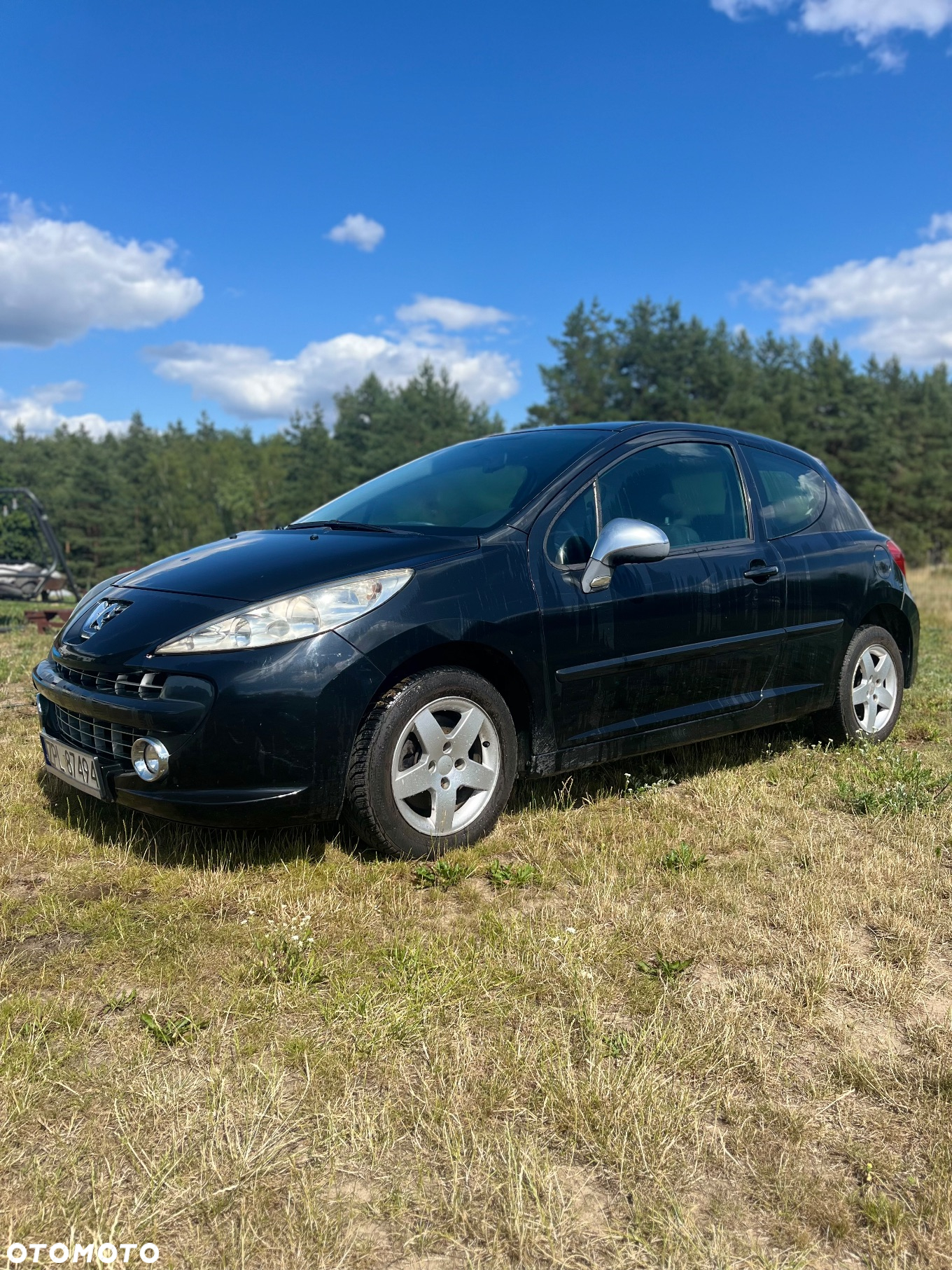 Peugeot 207 1.4 16V Trendy - 2