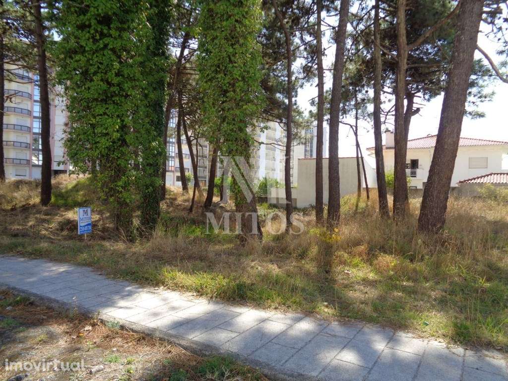 Lote p/ construção - Amorosa - Grande imagem: 2/4